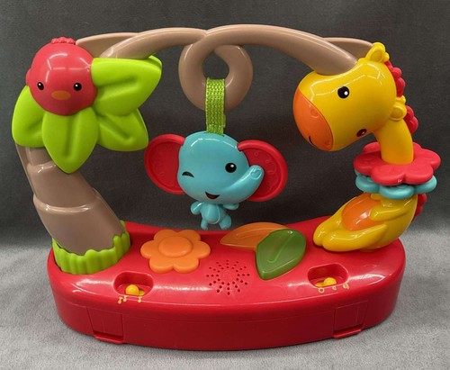 Fisher price roarin - fisher, roarin'